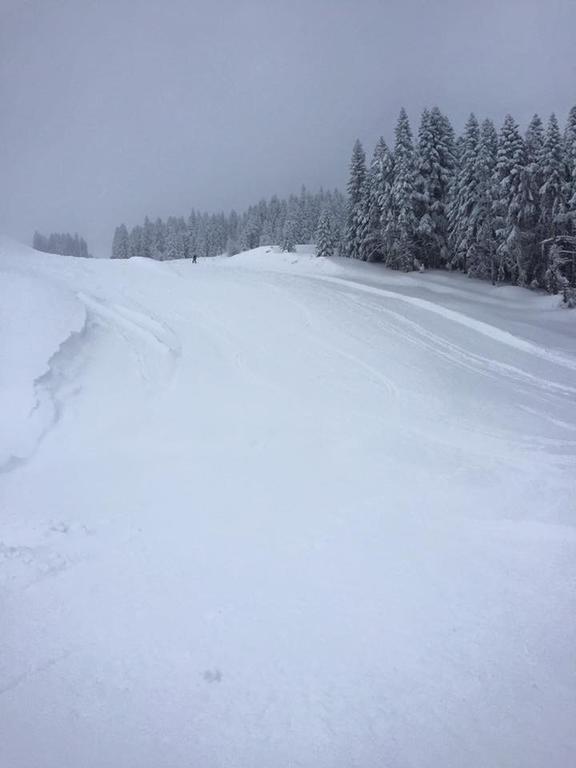 Ilgaz Derbent Hotel Exteriör bild