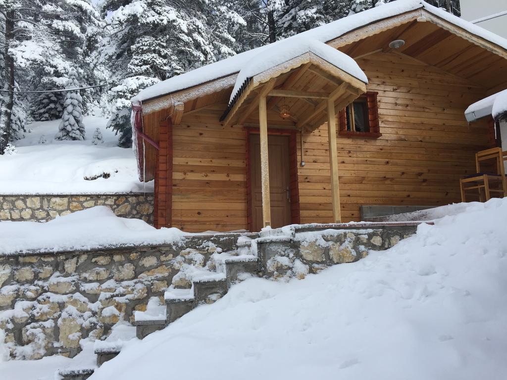 Ilgaz Derbent Hotel Rum bild