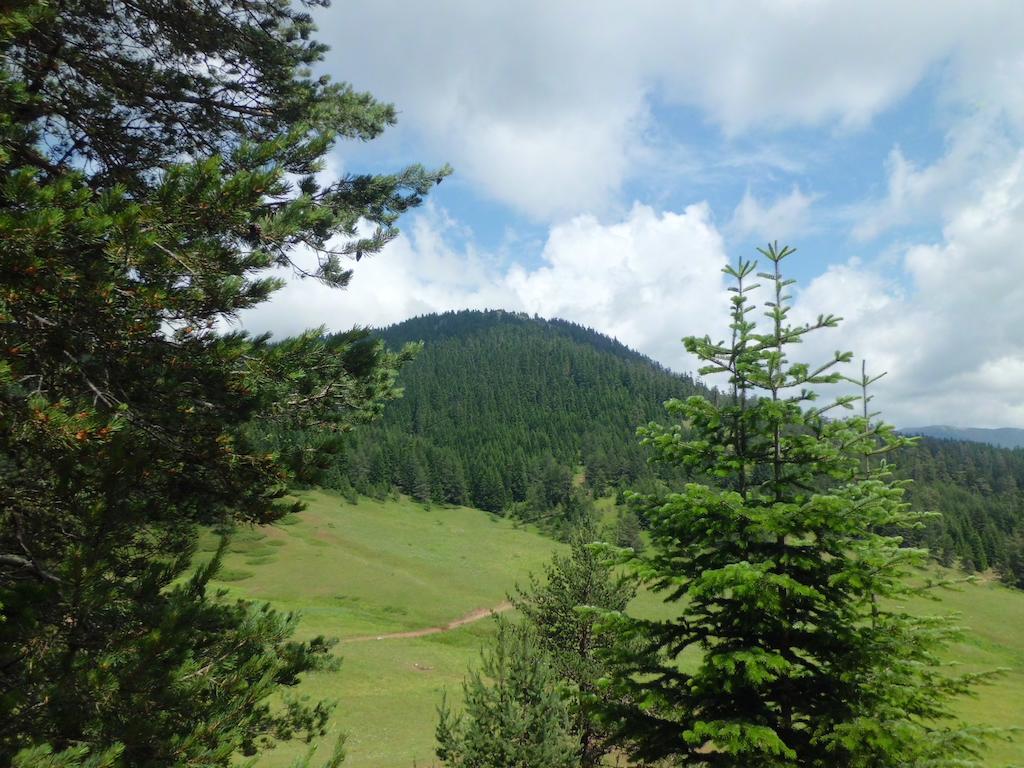 Ilgaz Derbent Hotel Exteriör bild